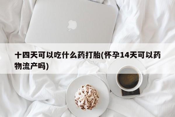 药流药联系微信十四天可以吃什么药打胎(怀孕14天可以药物流产吗)